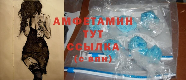 метадон Алексин