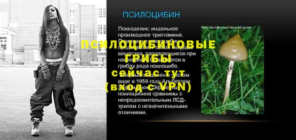 метадон Алексин