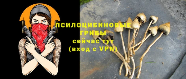 MESCALINE Алзамай